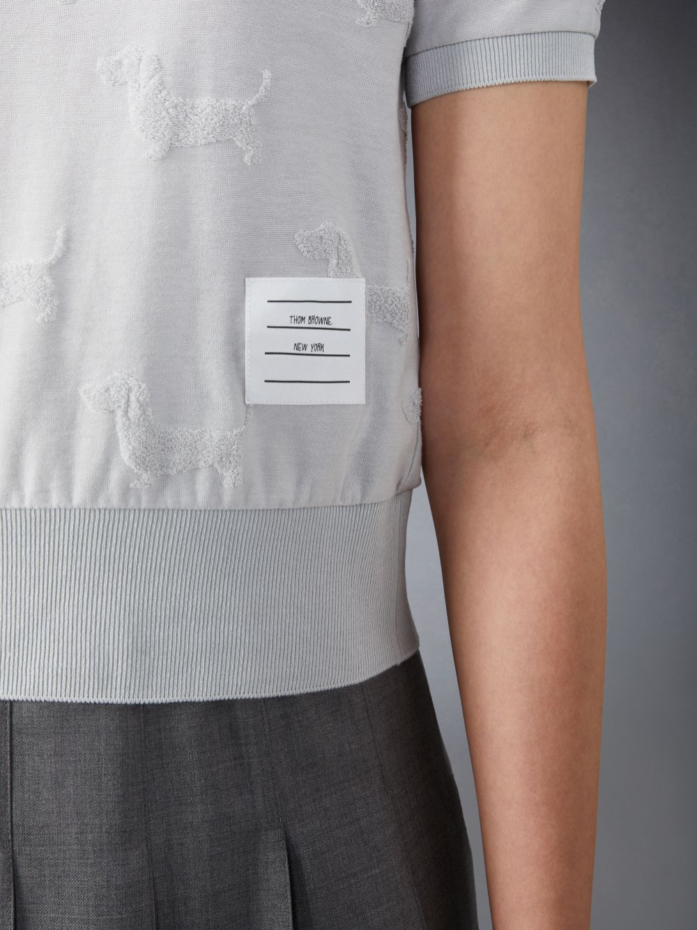 Thom Browne Terry Jacquard Hector レディース Tシャツ グレー | DKU14G96915